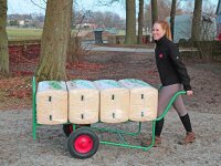 Ballenkarre Ballenwagen kurz