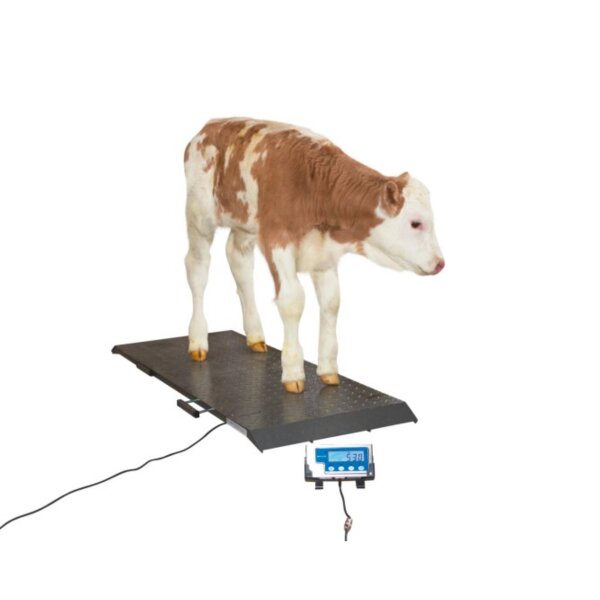 Tierwaage PS2000 bis 1000kg