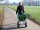 Compactkarre PE 170 l 2 Rad grün