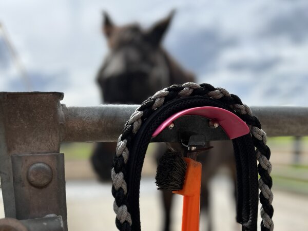 Trensenhalter magnetisch Moosgrün