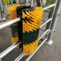 Patura Kratzbürste Multifix 50x30cm